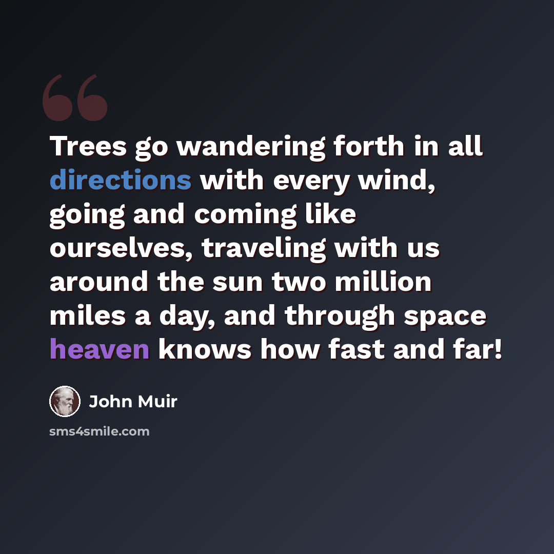 “Trees go wandering forth in all directions with every wind, going and coming like ourselves, traveling with us around the sun two million miles a day, and through space heaven knows how fast and far!” quote by John Muir