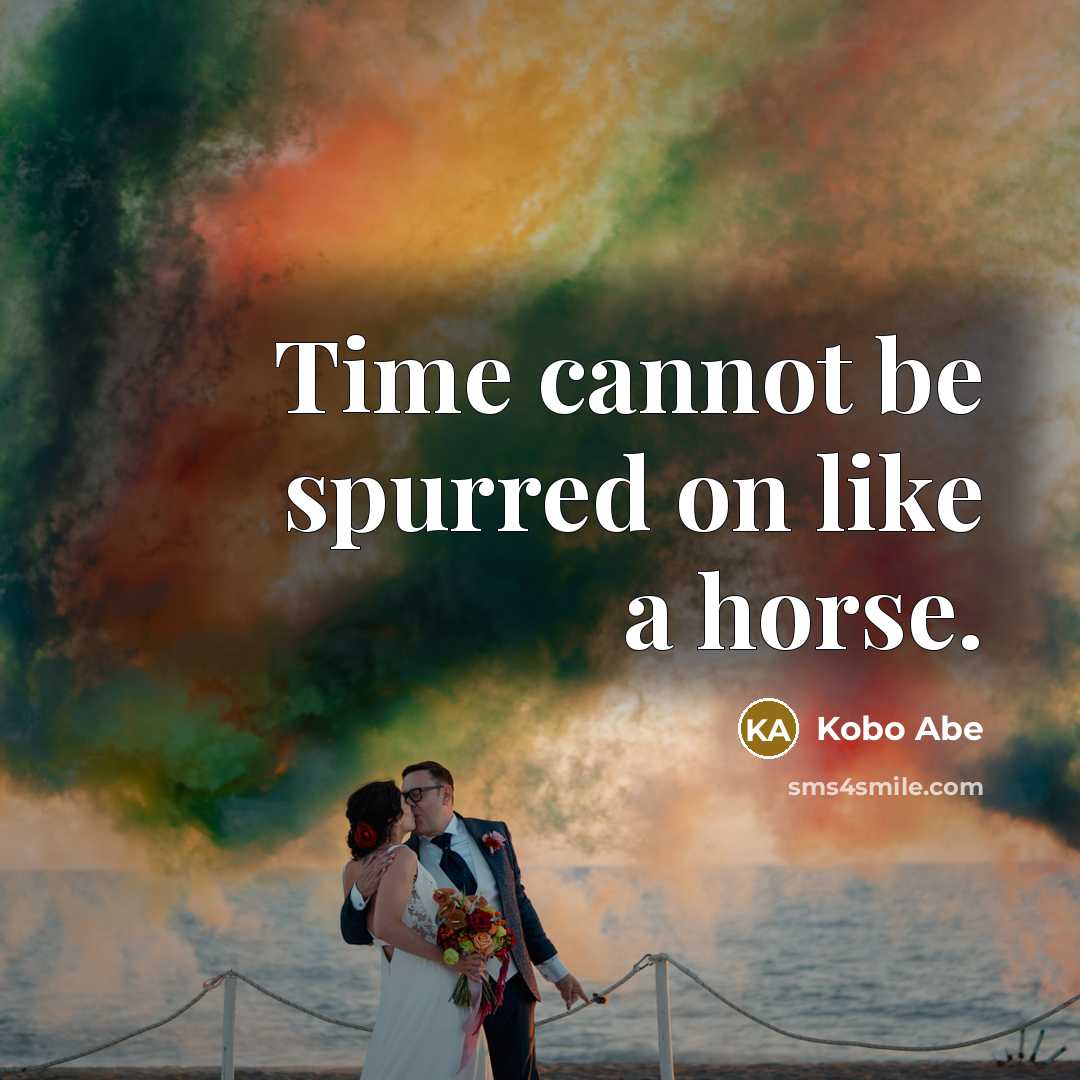 “Time cannot be spurred on like a horse.” quote by Kobo Abe