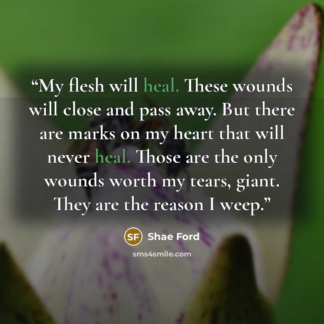 “My flesh will heal. These wounds will close and pass away. But there are marks on my heart that will never heal. Those are the only wounds worth my tears, giant. They are the reason I weep.” quote by Shae Ford