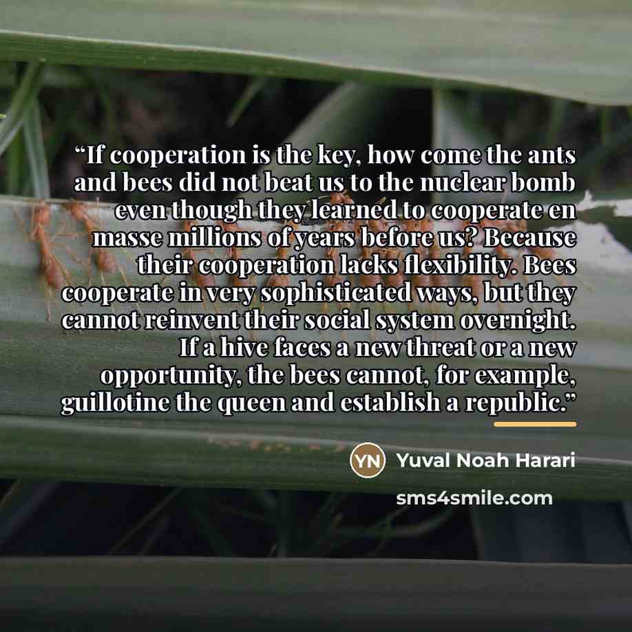 “If cooperation is the key, how come the ants and bees did not beat us to the nuclear bomb even though they learned to cooperate en masse millions of years before us? Because their cooperation lacks flexibility. Bees cooperate in very sophisticated ways, but they cannot reinvent their social system…” quote by Yuval Noah Harari