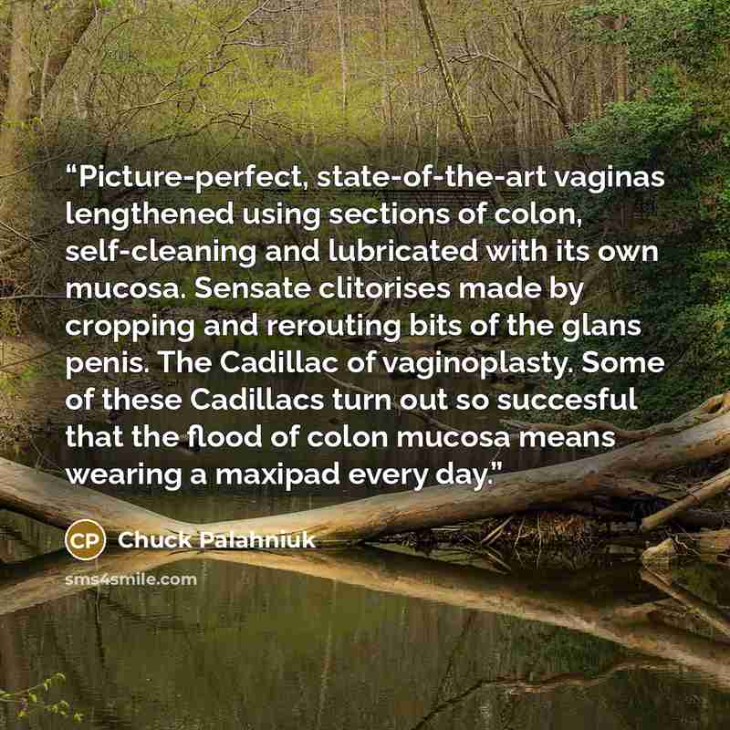 “Picture-perfect, state-of-the-art vaginas lengthened using sections of colon, self-cleaning and lubricated with its own mucosa. Sensate clitorises made by cropping and rerouting bits of the glans penis. The Cadillac of vaginoplasty. Some of these Cadillacs turn out so succesful that the flood of…” quote by Chuck Palahniuk
