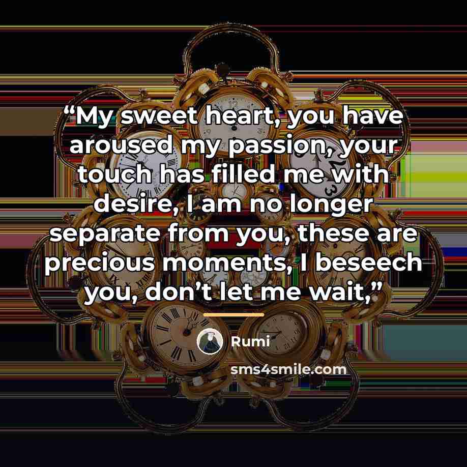 “My sweet heart, you have aroused my passion, your touch has filled me with desire, I am no longer separate from you, these are precious moments, I beseech you, don’t let me wait,” quote by Rumi