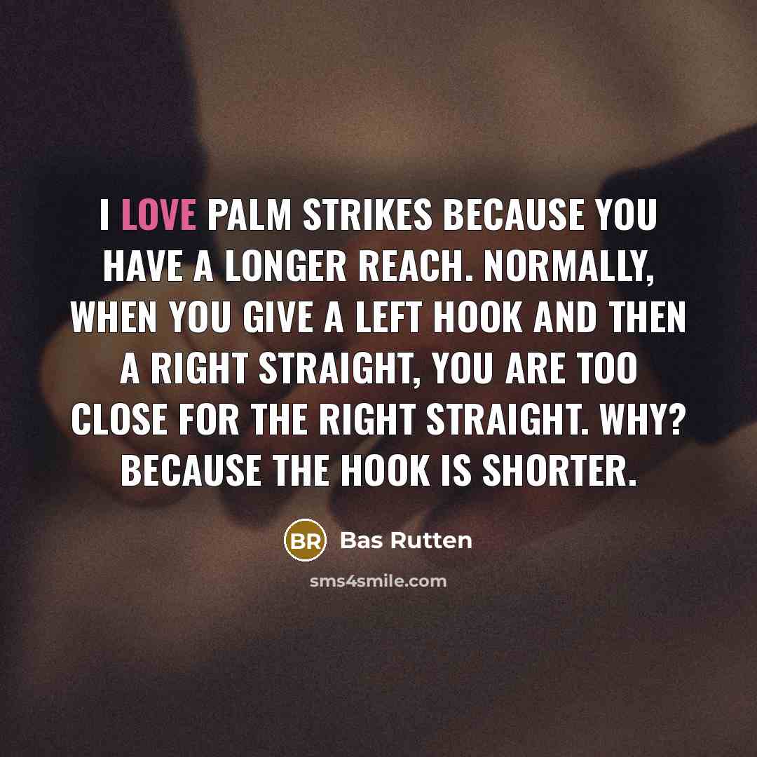 “I love palm strikes because you have a longer reach. Normally, when you give a left hook and then a right straight, you are too close for the right straight. Why? Because the hook is shorter.” quote by Bas Rutten