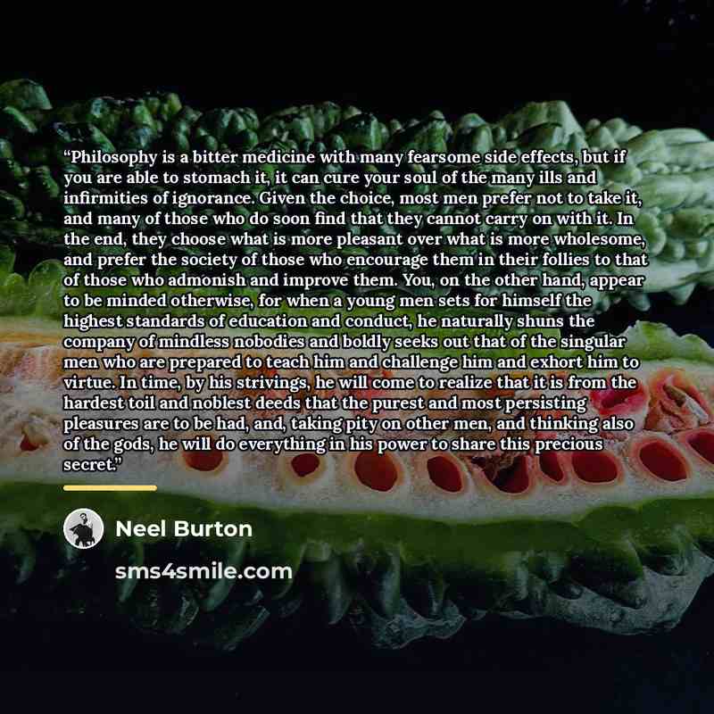 “Philosophy is a bitter medicine with many fearsome side effects, but if you are able to stomach it, it can cure your soul of the many ills and infirmities of ignorance. Given the choice, most men prefer not to take it, and many of those who do soon find that they cannot carry on with it. In the…” quote by Neel Burton