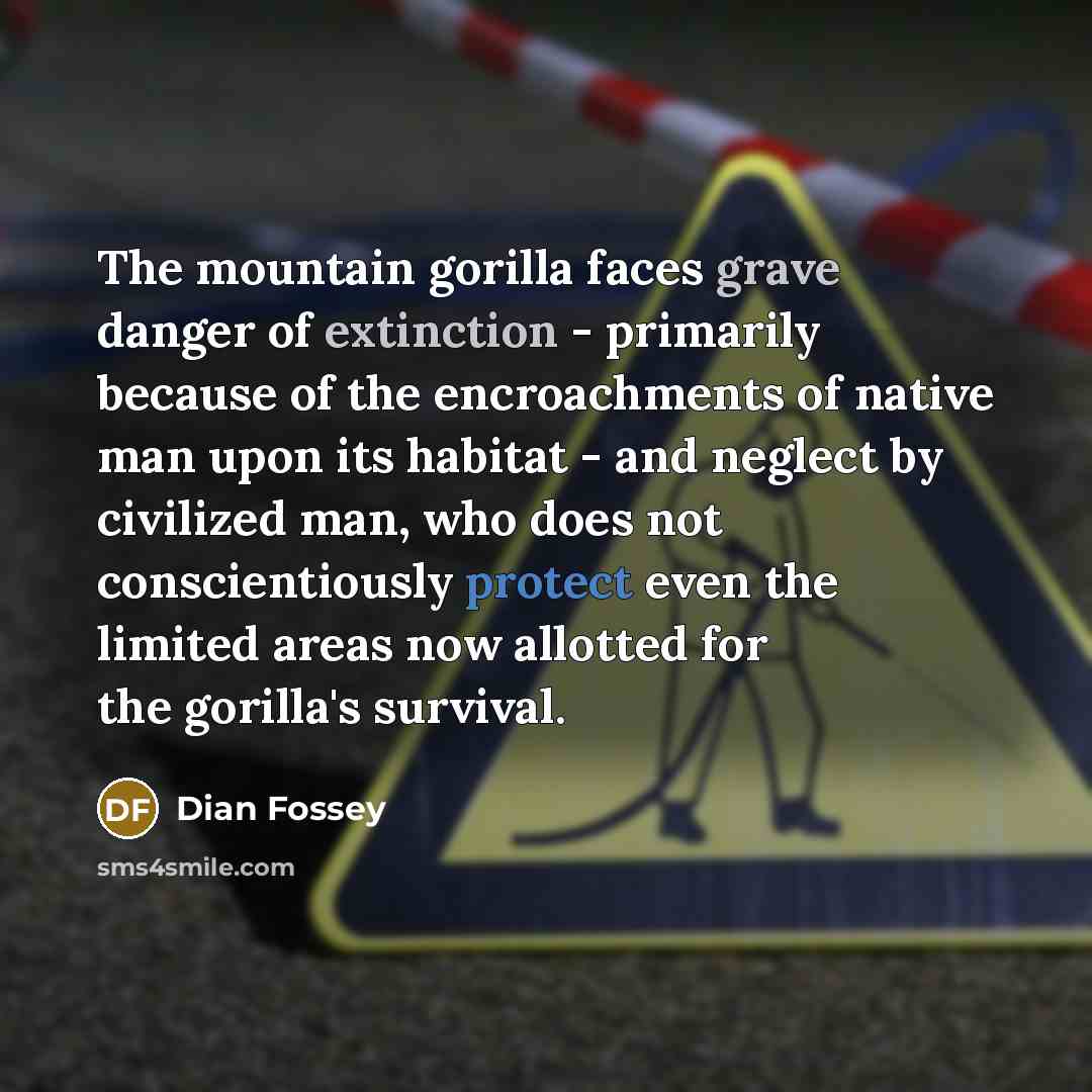 “The mountain gorilla faces grave danger of extinction - primarily because of the encroachments of native man upon its habitat - and neglect by civilized man, who does not conscientiously protect even the limited areas now allotted for the gorilla's survival.” quote by Dian Fossey