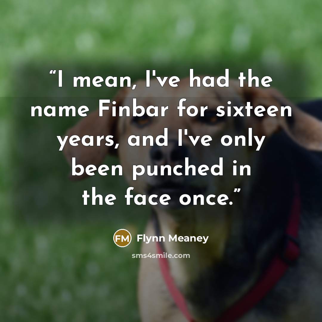 “I mean, I've had the name Finbar for sixteen years, and I've only been punched in the face once.” quote by Flynn Meaney