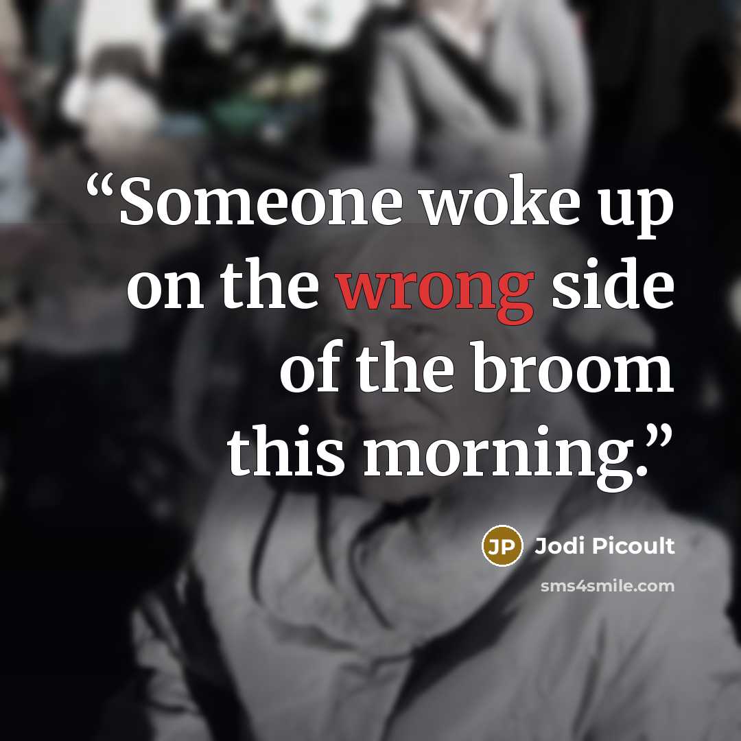 “Someone woke up on the wrong side of the broom this morning.” quote by Jodi Picoult