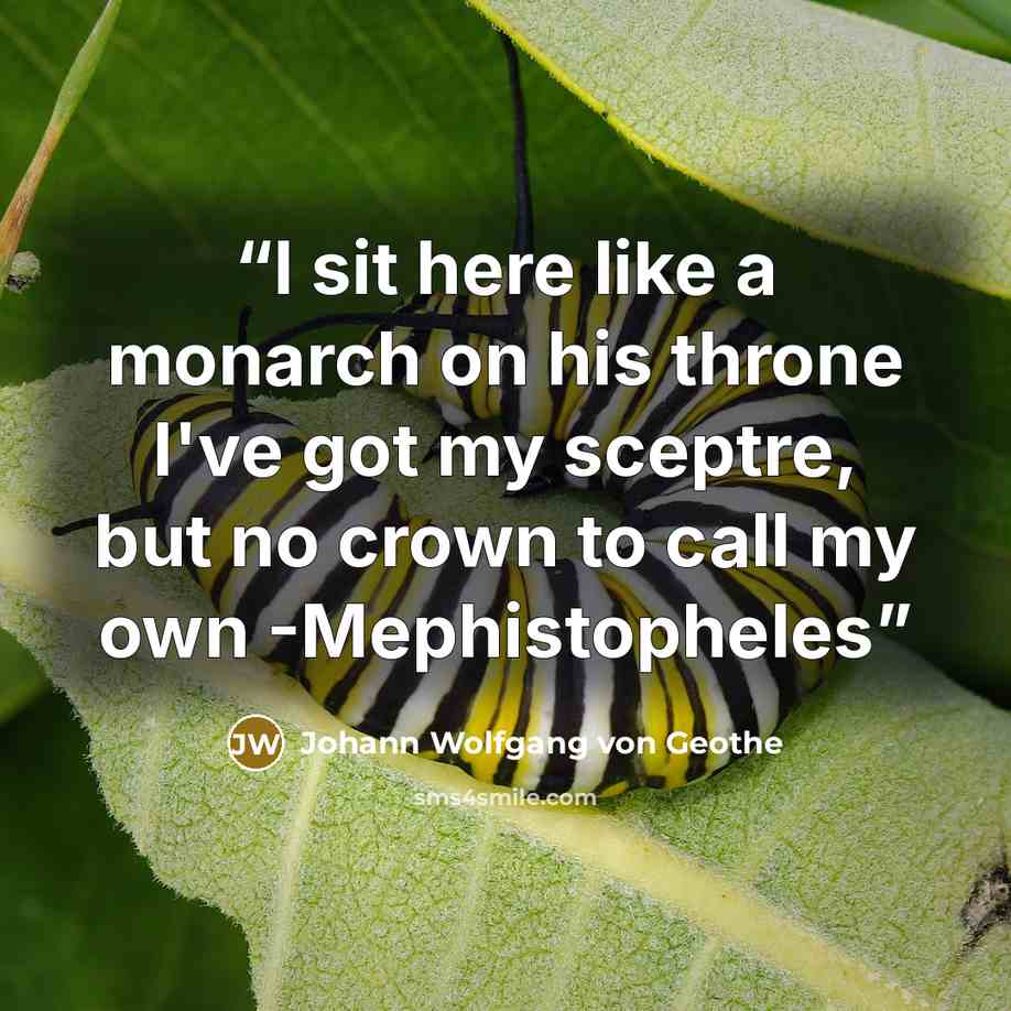 “I sit here like a monarch on his throne I've got my sceptre, but no crown to call my own -Mephistopheles” quote by Johann Wolfgang von Geothe