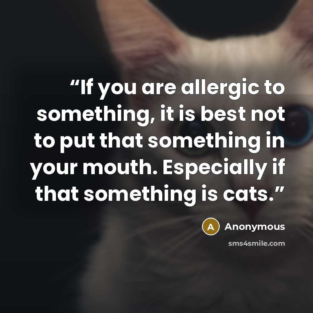 “If you are allergic to something, it is best not to put that something in your mouth. Especially if that something is cats.” quote by Anonymous