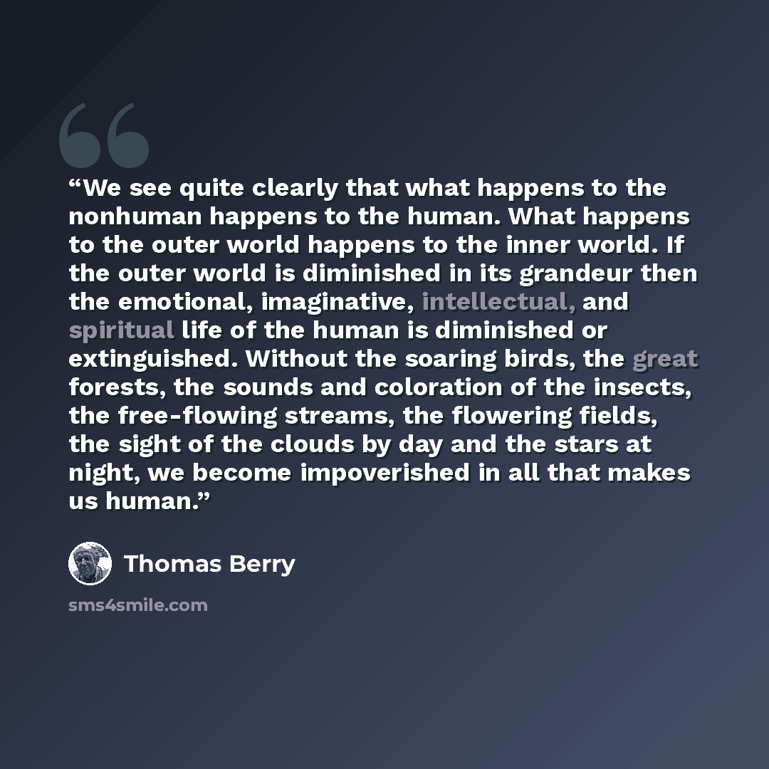 “We see quite clearly that what happens to the nonhuman happens to the human. What happens to the outer world happens to the inner world. If the outer world is diminished in its grandeur then the emotional, imaginative, intellectual, and spiritual life of the human is diminished or extinguished…” quote by Thomas Berry