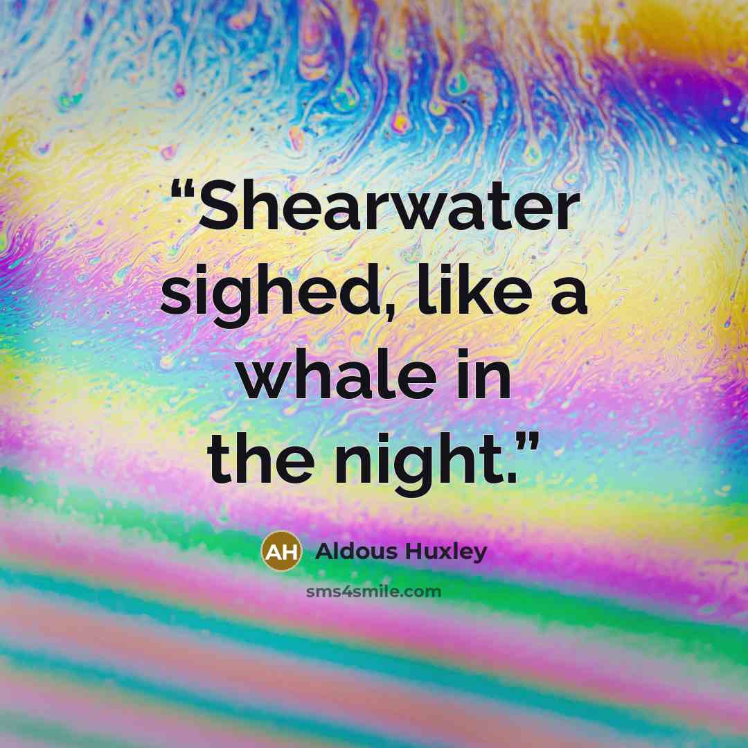 “Shearwater sighed, like a whale in the night.” quote by Aldous Huxley