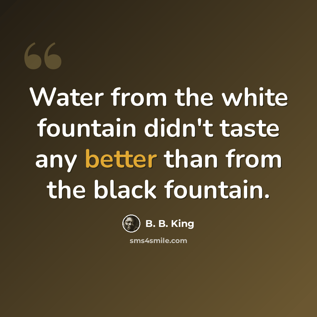 “Water from the white fountain didn't taste any better than from the black fountain.” quote by B. B. King