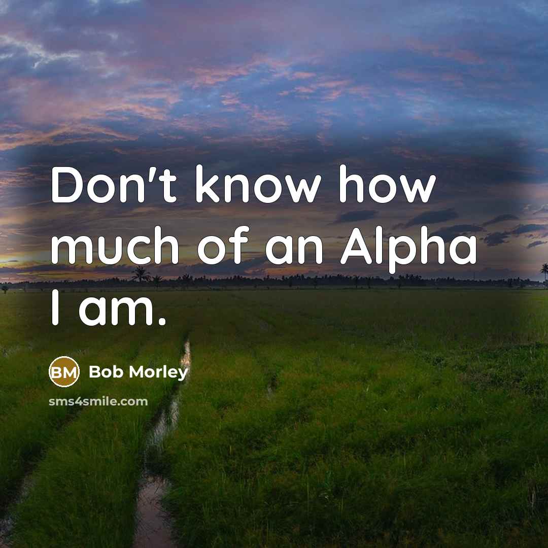 “Don't know how much of an Alpha I am.” quote by Bob Morley