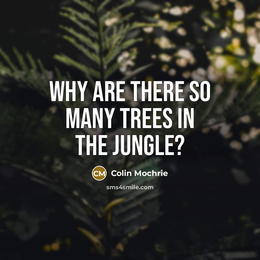 “Why are there so many trees in the jungle?” quote by Colin Mochrie