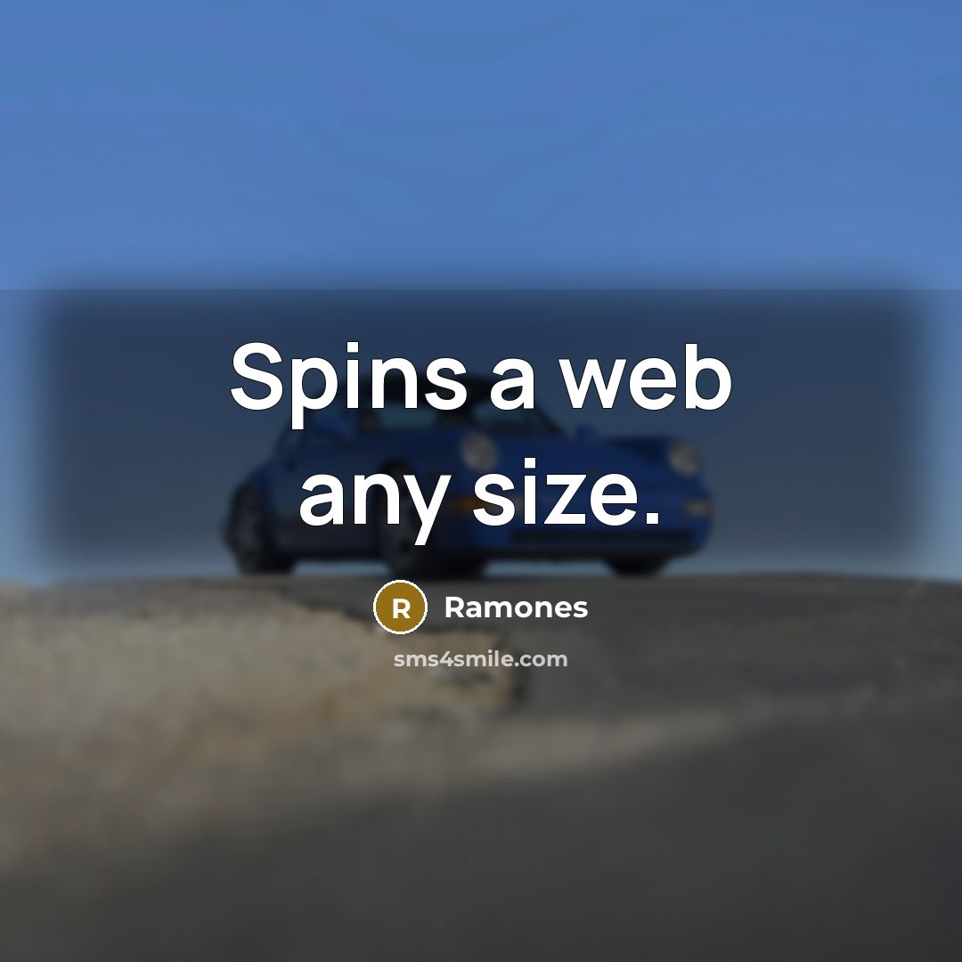 “Spins a web any size.” quote by Ramones
