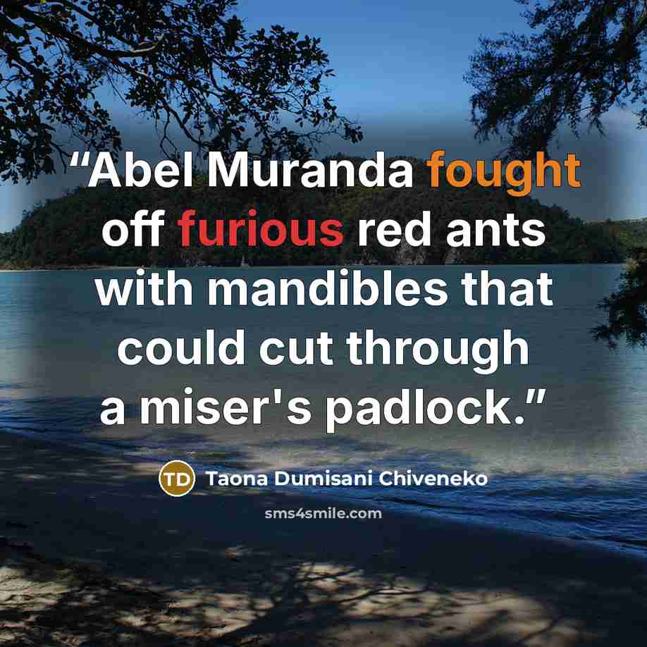 “Abel Muranda fought off furious red ants with mandibles that could cut through a miser's padlock.” quote by Taona Dumisani Chiveneko