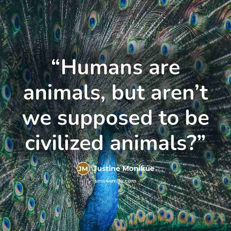 “Humans are animals, but aren’t we supposed to be civilized animals?” quote by Justine Monikue