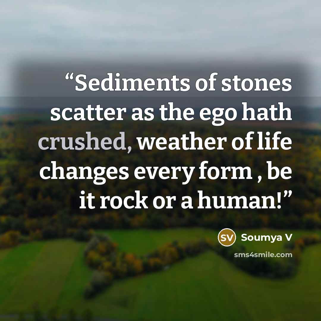 “Sediments of stones scatter as the ego hath crushed, weather of life changes every form , be it rock or a human!” quote by Soumya V