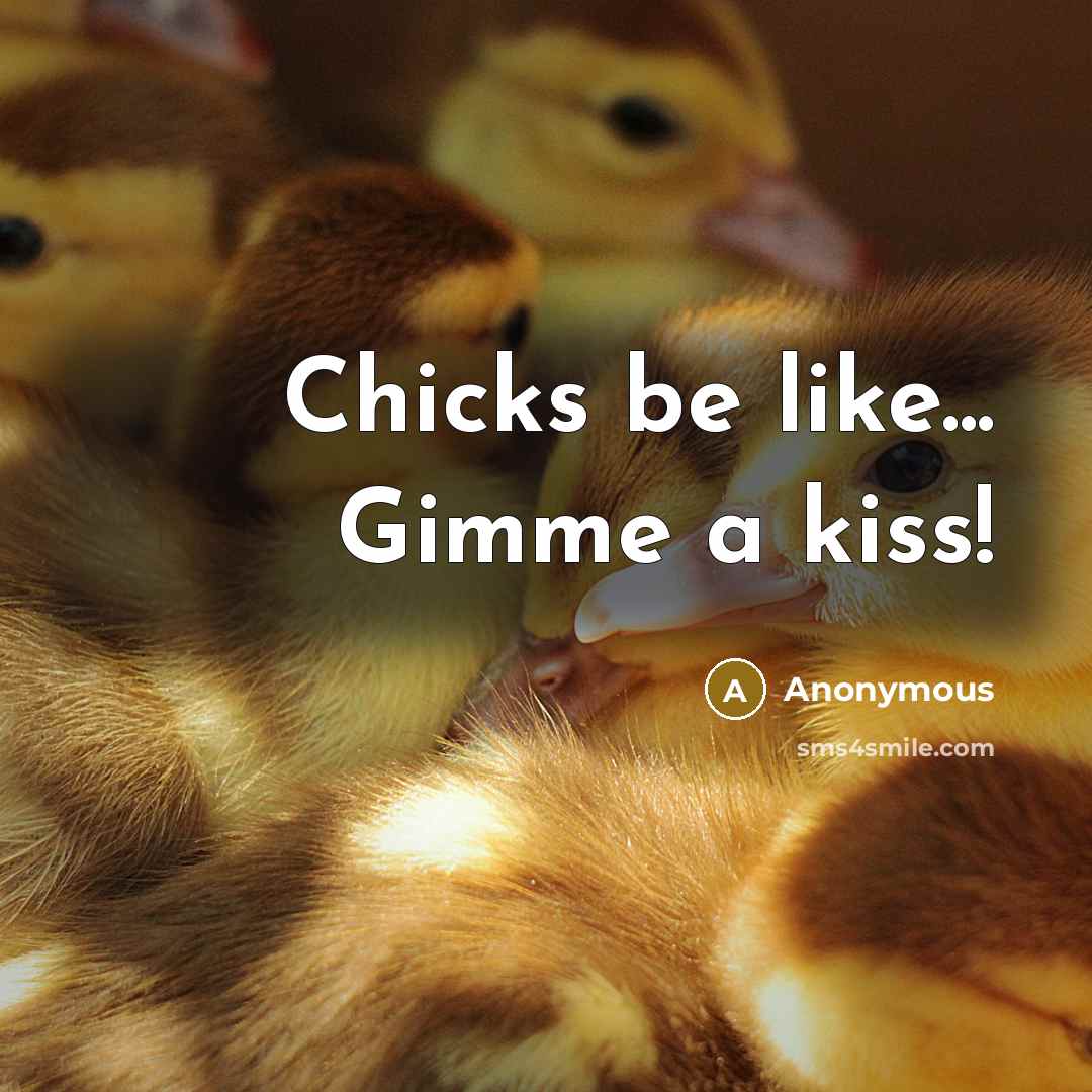“Chicks be like... Gimme a kiss!” quote by Anonymous