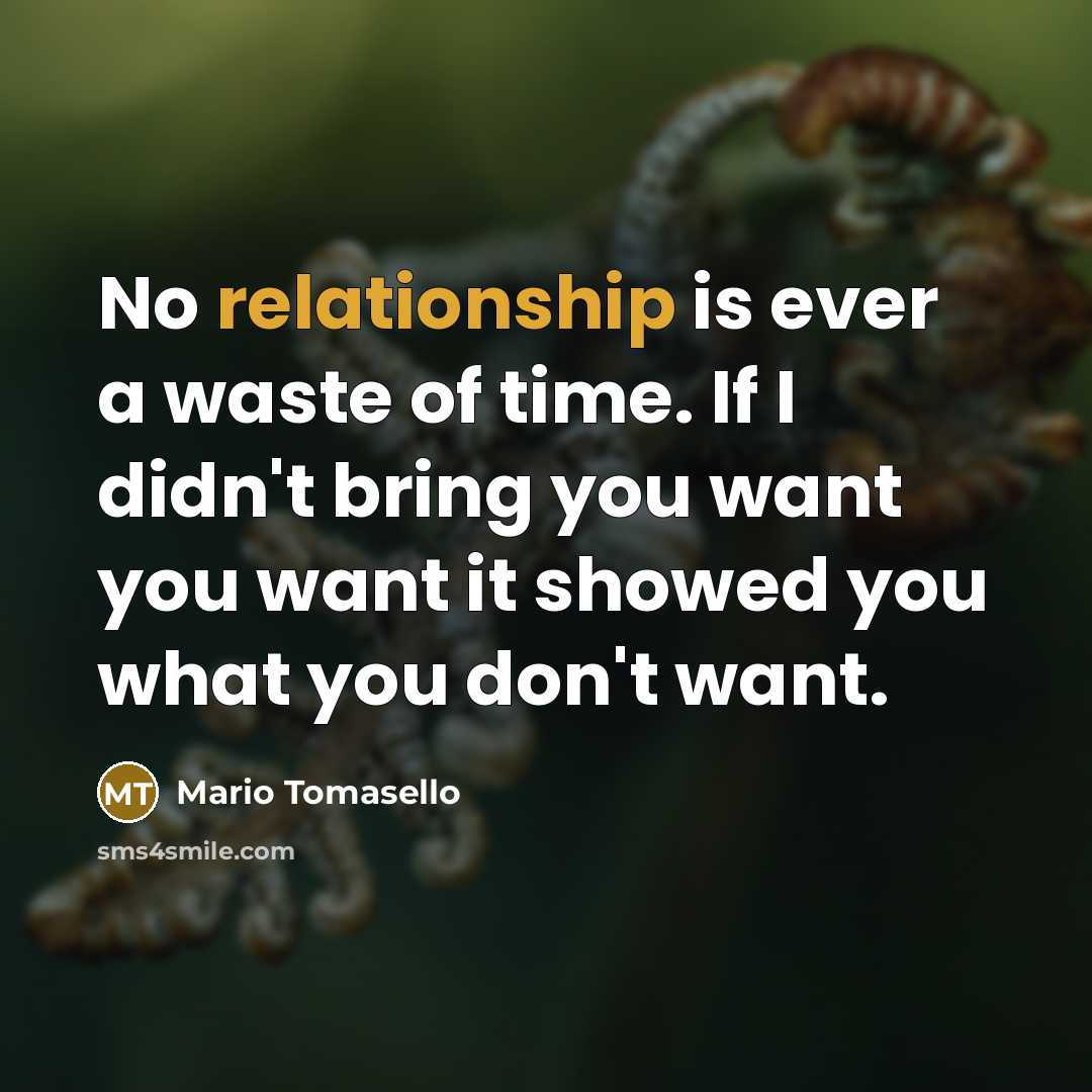 “No relationship is ever a waste of time. If I didn't bring you want you want it showed you what you don't want.” quote by Mario Tomasello