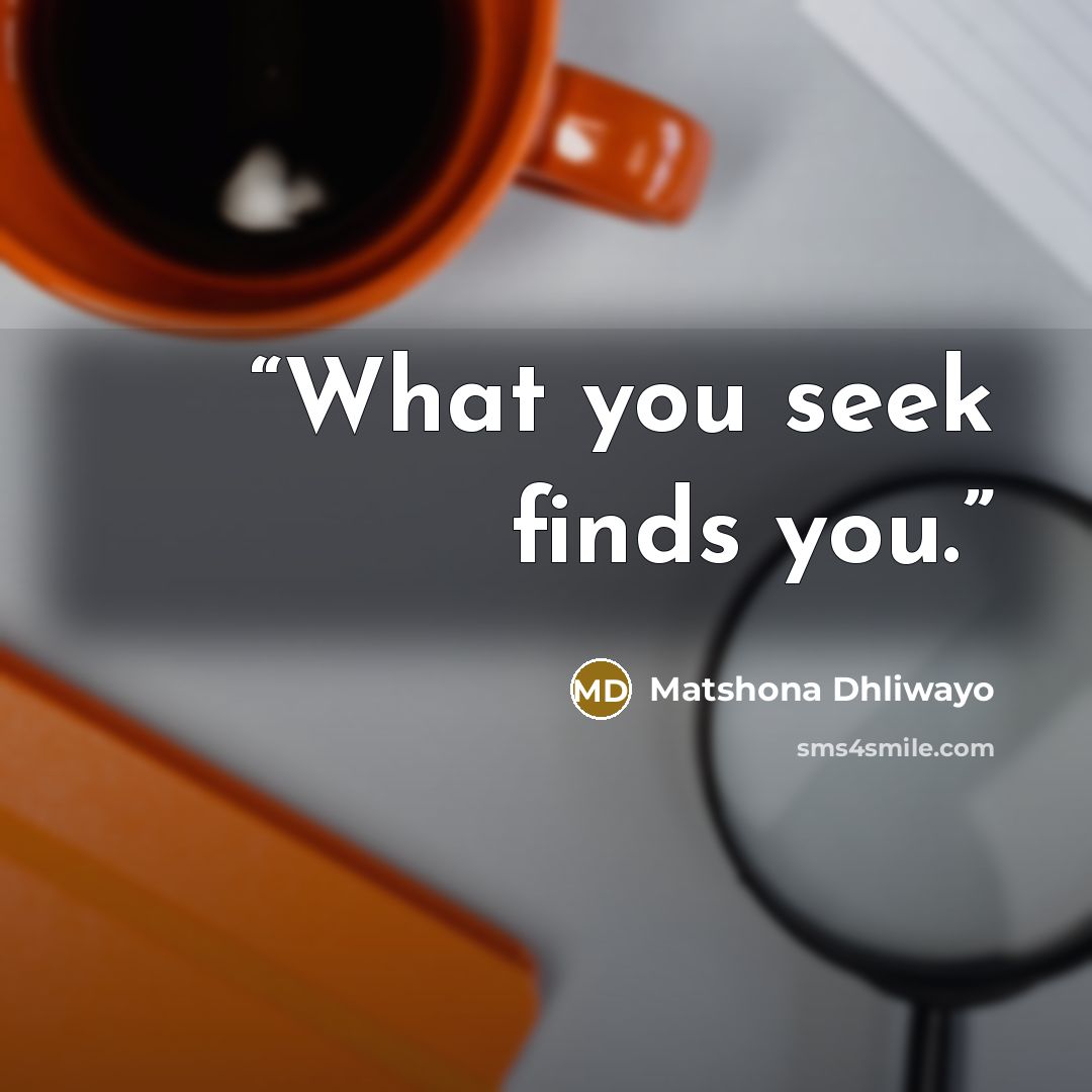 “What you seek finds you.” quote by Matshona Dhliwayo