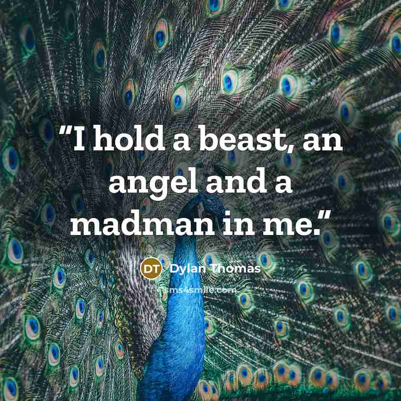 “I hold a beast, an angel and a madman in me.” quote by Dylan Thomas