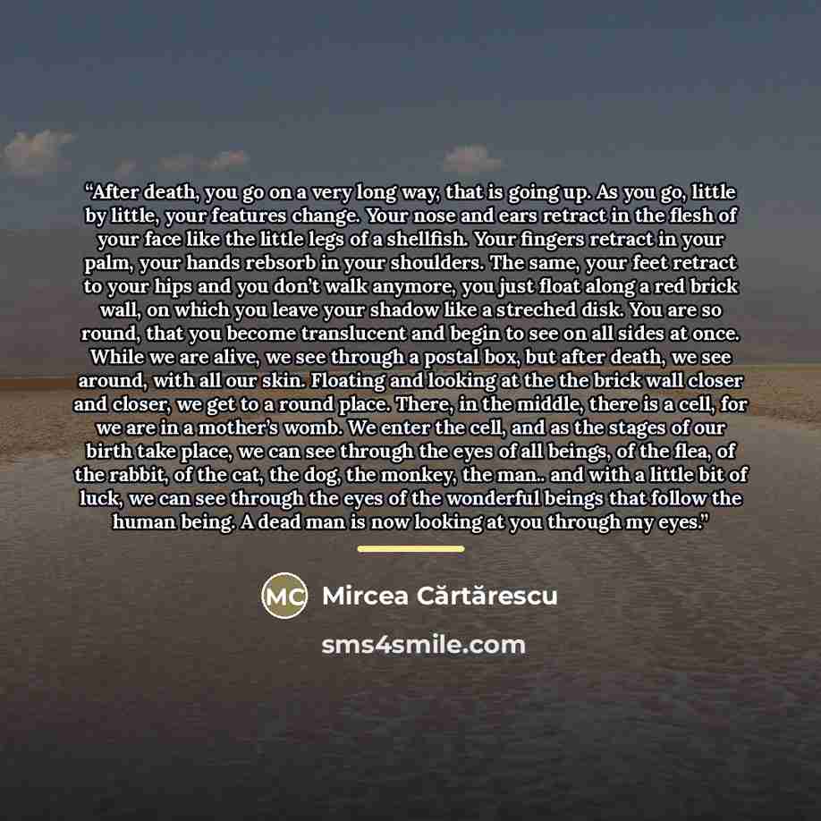 “After death, you go on a very long way, that is going up. As you go, little by little, your features change. Your nose and ears retract in the flesh of your face like the little legs of a shellfish. Your fingers retract in your palm, your hands rebsorb in your shoulders. The same, your feet…” quote by Mircea Cartarescu