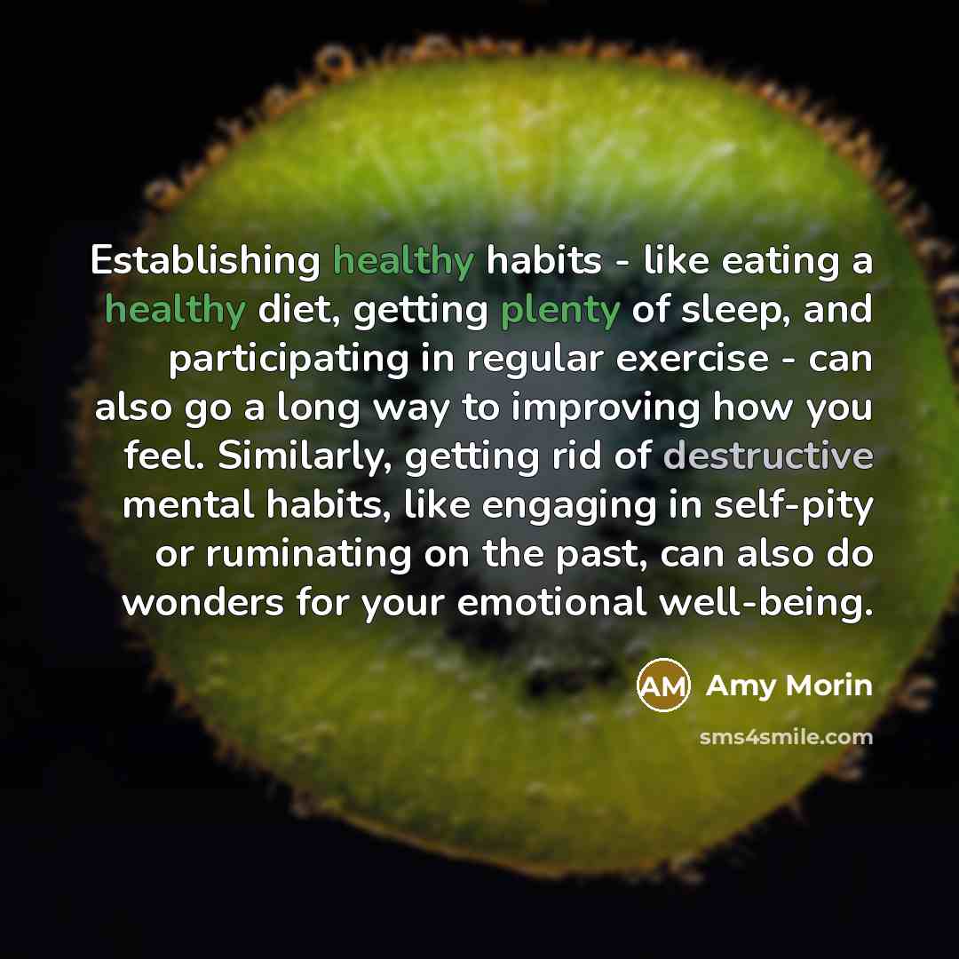“Establishing healthy habits - like eating a healthy diet, getting plenty of sleep, and participating in regular exercise - can also go a long way to improving how you feel. Similarly, getting rid of destructive mental habits, like engaging in self-pity or ruminating on the past, can also do…” quote by Amy Morin