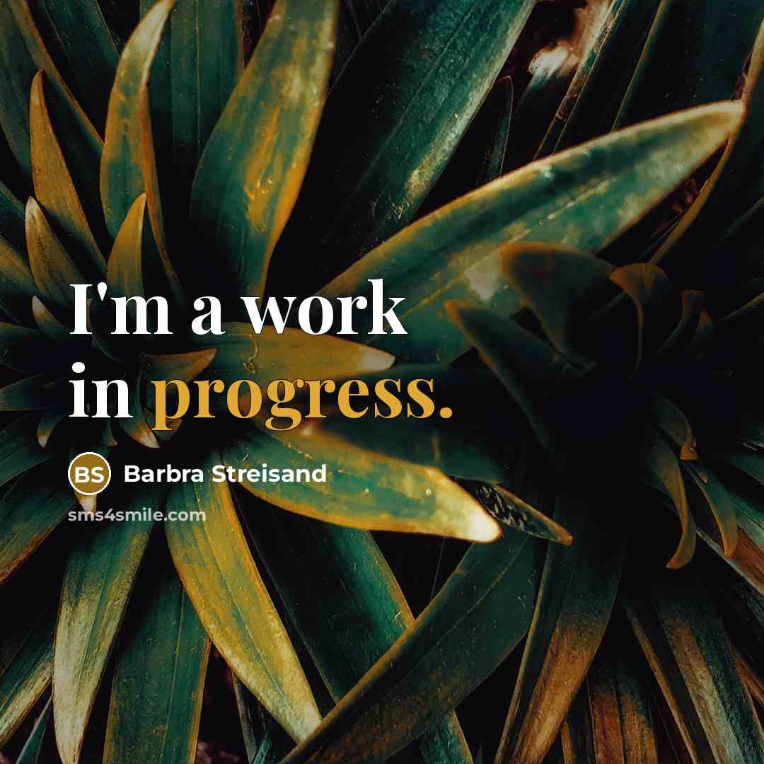 “I'm a work in progress.” quote by Barbra Streisand