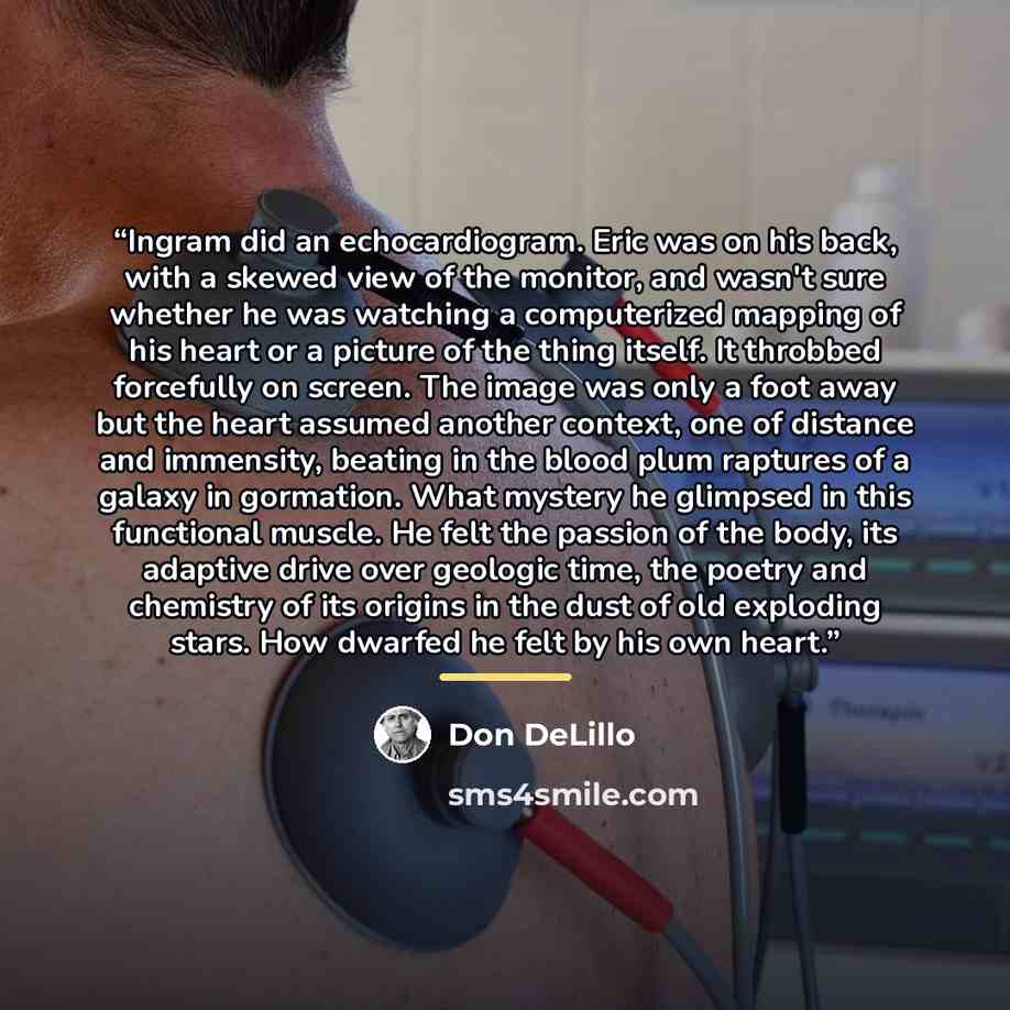 “Ingram did an echocardiogram. Eric was on his back, with a skewed view of the monitor, and wasn't sure whether he was watching a computerized mapping of his heart or a picture of the thing itself. It throbbed forcefully on screen. The image was only a foot away but the heart assumed another…” quote by Don DeLillo