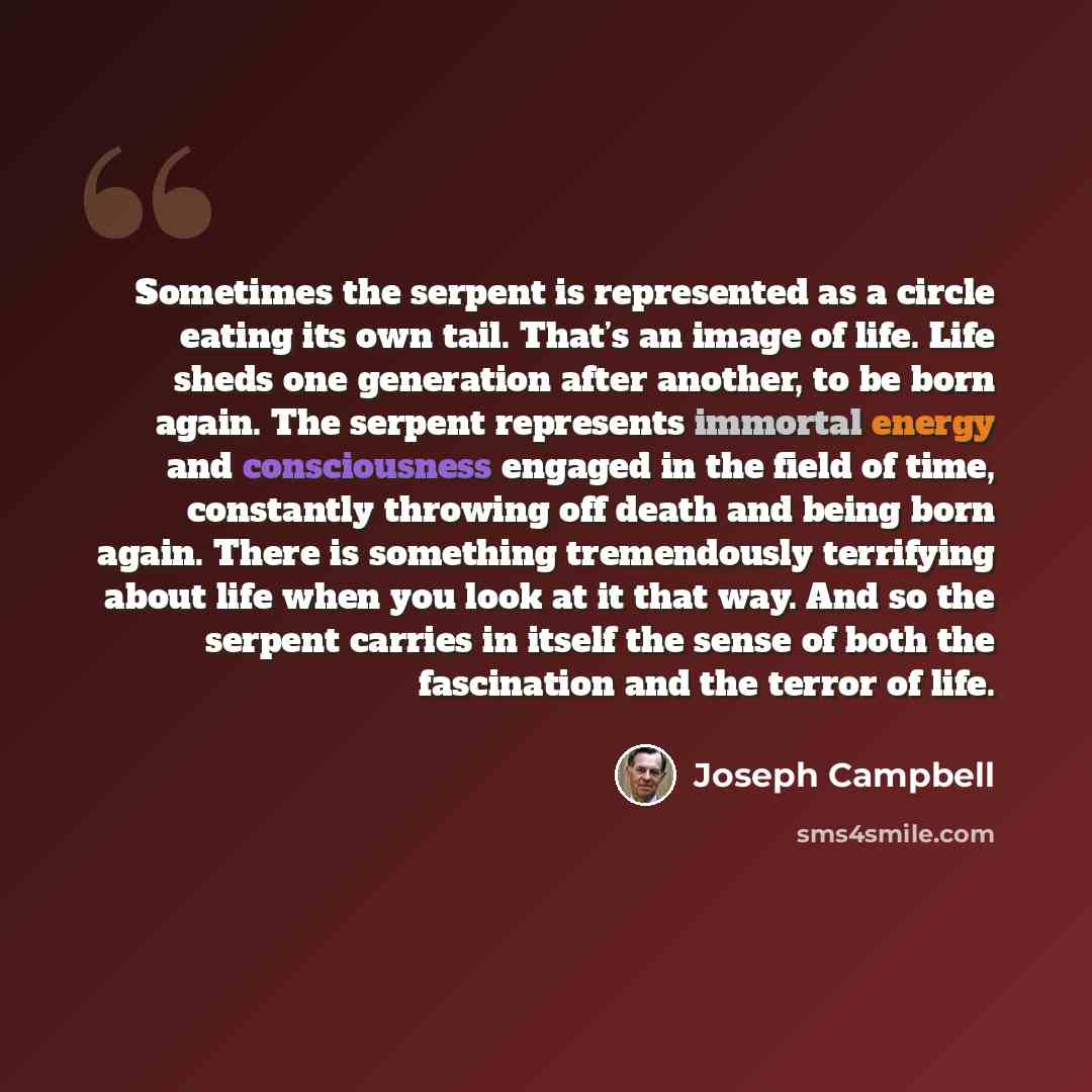 “Sometimes the serpent is represented as a circle eating its own tail. That’s an image of life. Life sheds one generation after another, to be born again. The serpent represents immortal energy and consciousness engaged in the field of time, constantly throwing off death and being born again. There…” quote by Joseph Campbell