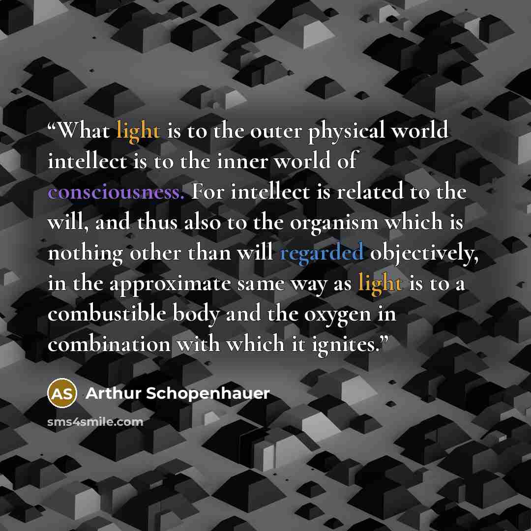 “What light is to the outer physical world intellect is to the inner world of consciousness. For intellect is related to the will, and thus also to the organism which is nothing other than will regarded objectively, in the approximate same way as light is to a combustible body and the oxygen in…” quote by Arthur Schopenhauer