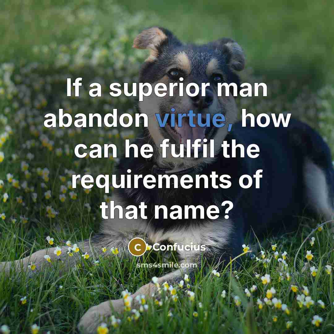 “If a superior man abandon virtue, how can he fulfil the requirements of that name?” quote by Confucius