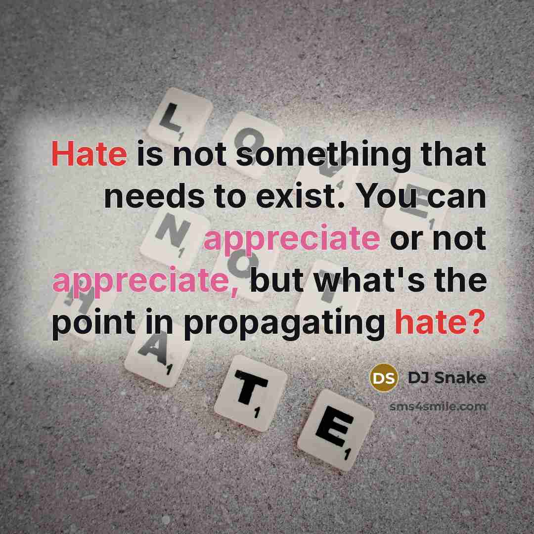 “Hate is not something that needs to exist. You can appreciate or not appreciate, but what's the point in propagating hate?” quote by DJ Snake