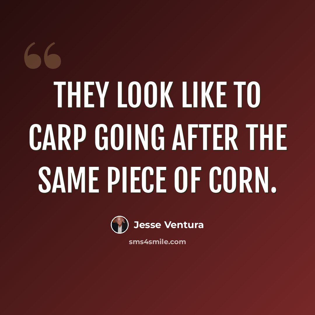 “They look like to carp going after the same piece of corn.” quote by Jesse Ventura