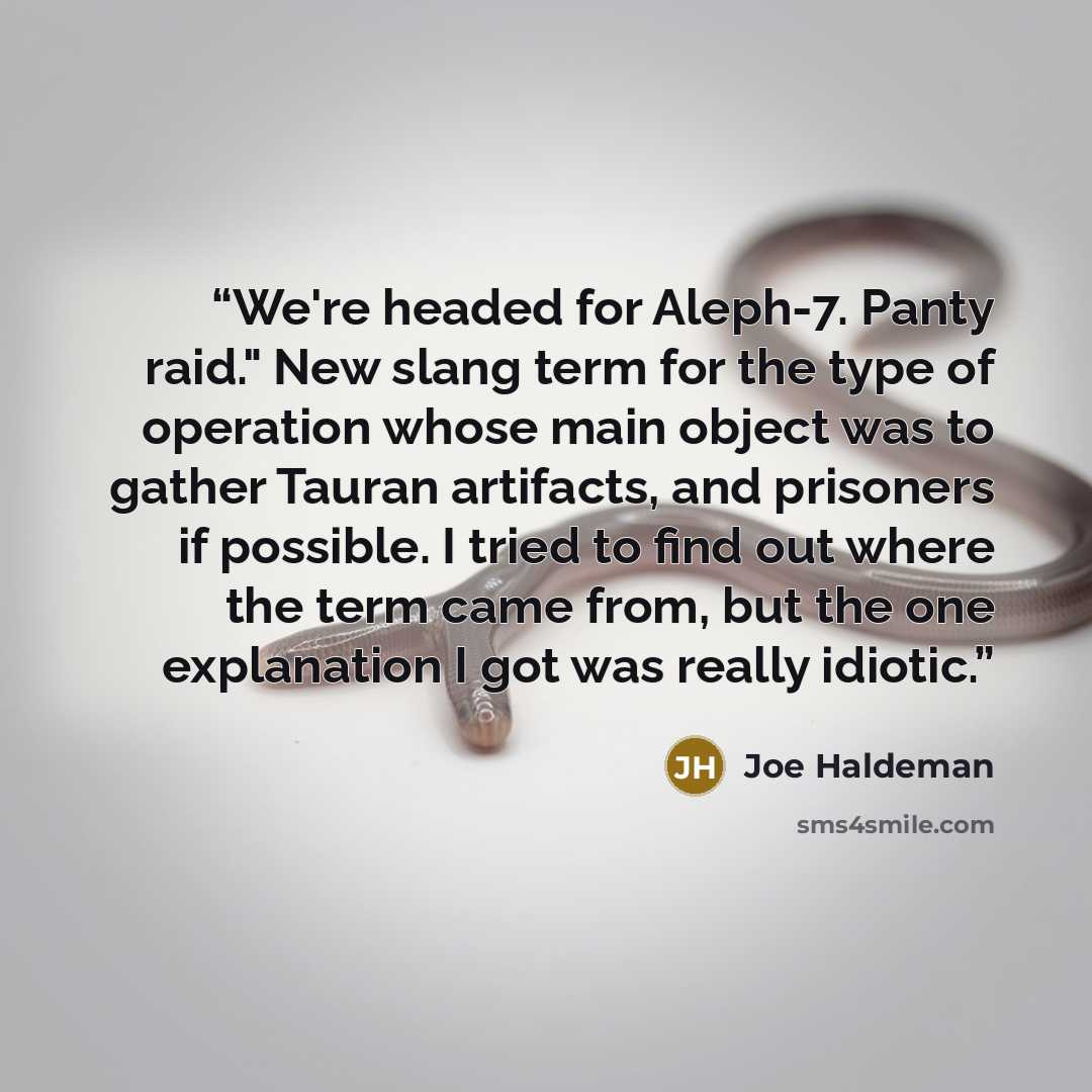 “We're headed for Aleph-7. Panty raid." New slang term for the type of operation whose main object was to gather Tauran artifacts, and prisoners if possible. I tried to find out where the term came from, but the one explanation I got was really idiotic.” quote by Joe Haldeman