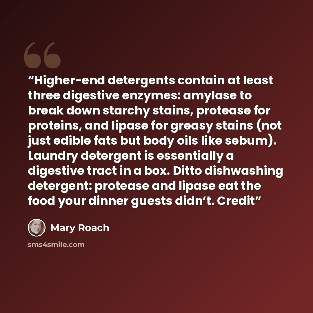 “Higher-end detergents contain at least three digestive enzymes: amylase to break down starchy stains, protease for proteins, and lipase for greasy stains (not just edible fats but body oils like sebum). Laundry detergent is essentially a digestive tract in a box. Ditto dishwashing detergent…” quote by Mary Roach