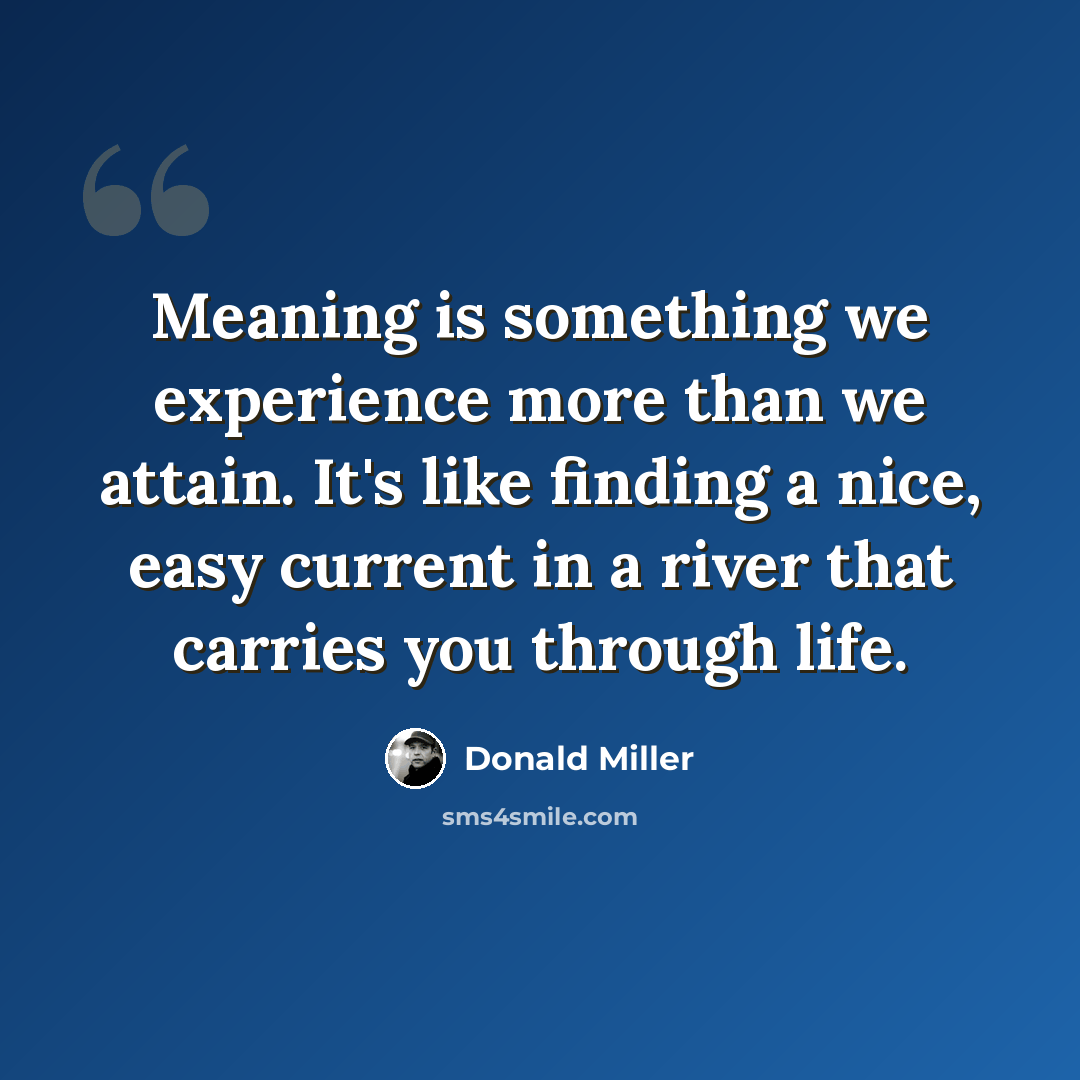 “Meaning is something we experience more than we attain. It's like finding a nice, easy current in a river that carries you through life.” quote by Donald Miller