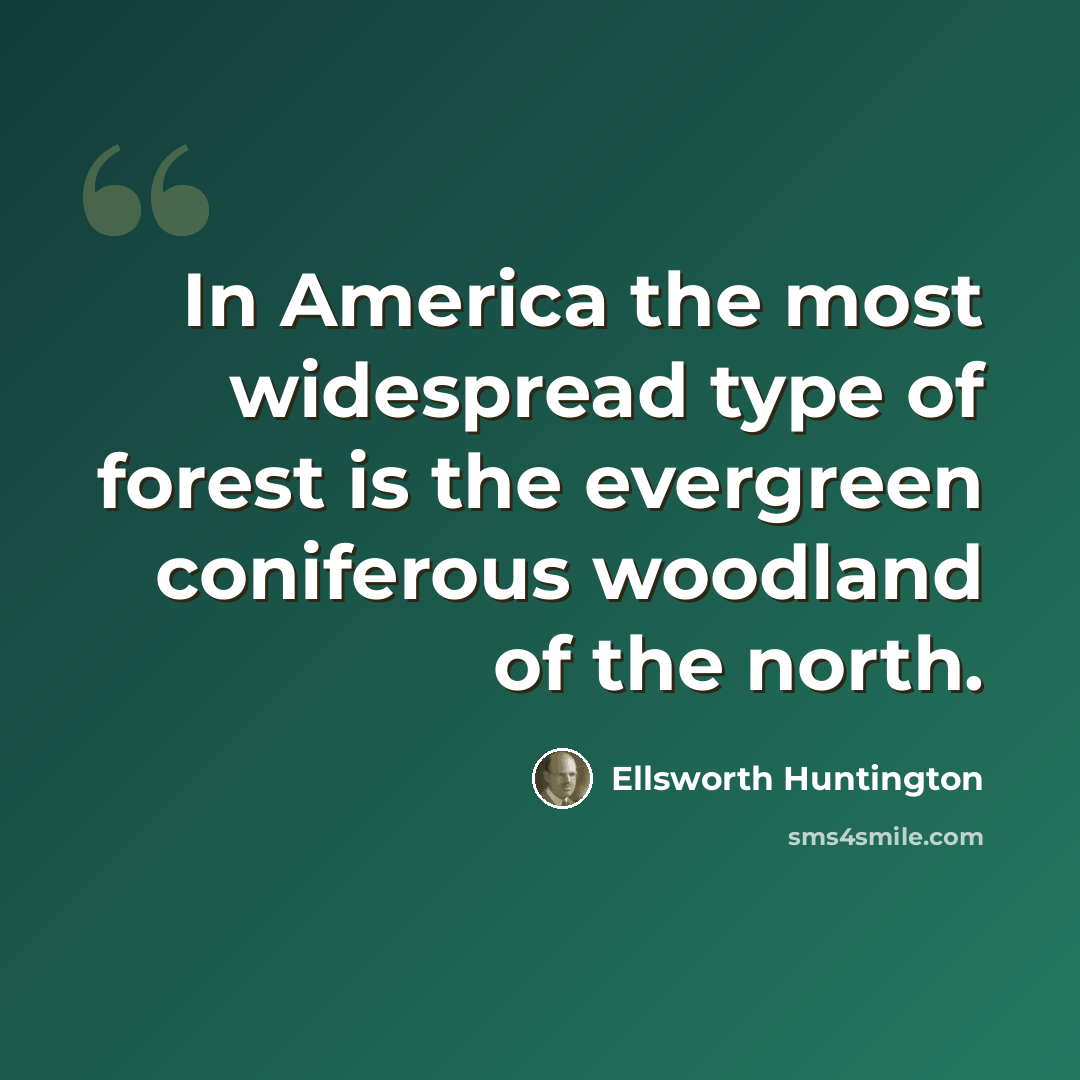 “In America the most widespread type of forest is the evergreen coniferous woodland of the north.” quote by Ellsworth Huntington