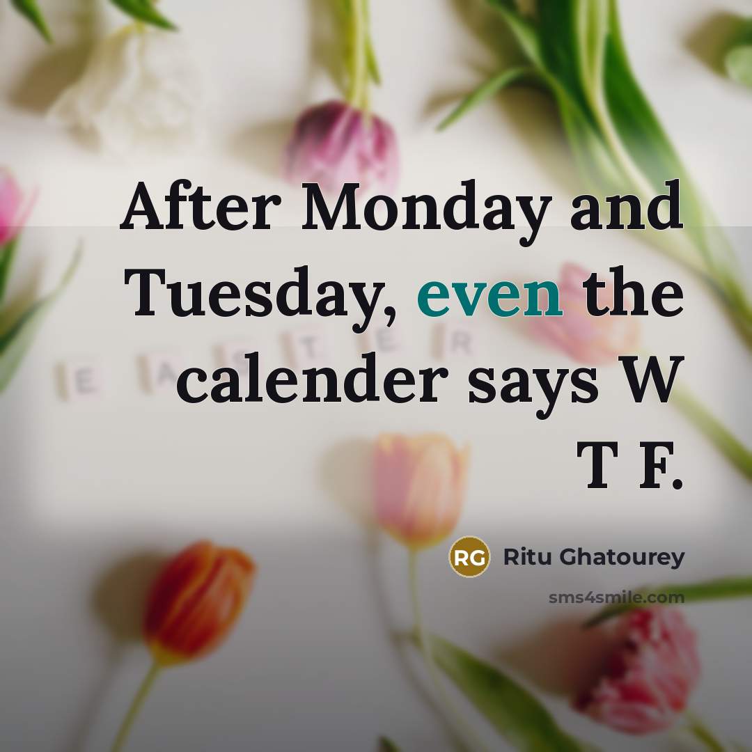 “After Monday and Tuesday, even the calender says W T F.” quote by Ritu Ghatourey