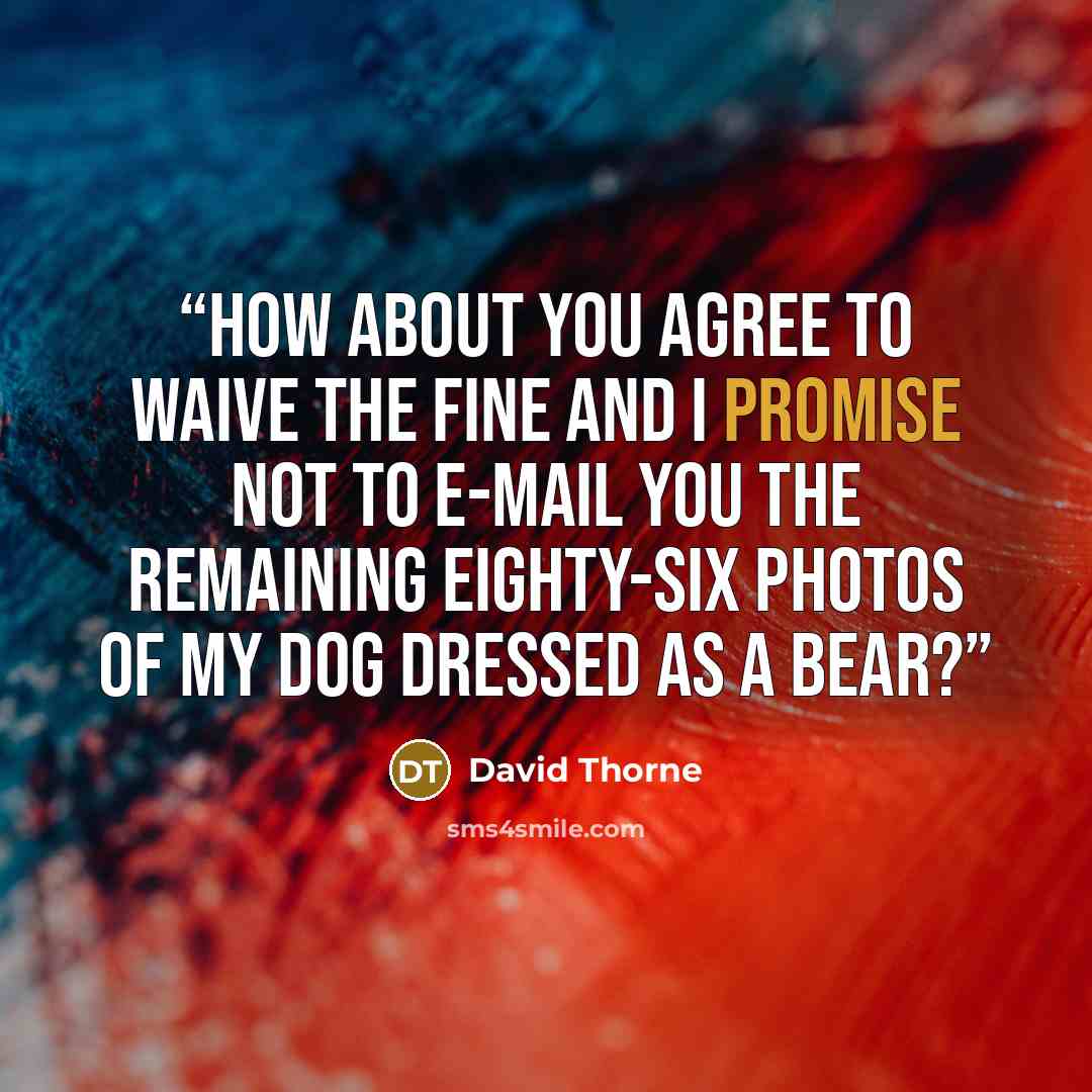 “How about you agree to waive the fine and I promise not to e-mail you the remaining eighty-six photos of my dog dressed as a bear?” quote by David Thorne