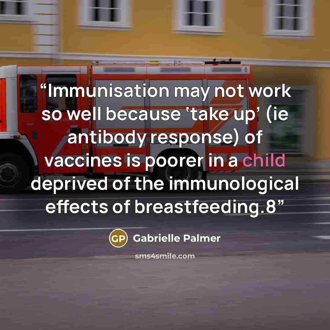 “Immunisation may not work so well because ‘take up’ (ie antibody response) of vaccines is poorer in a child deprived of the immunological effects of breastfeeding.8” quote by Gabrielle Palmer