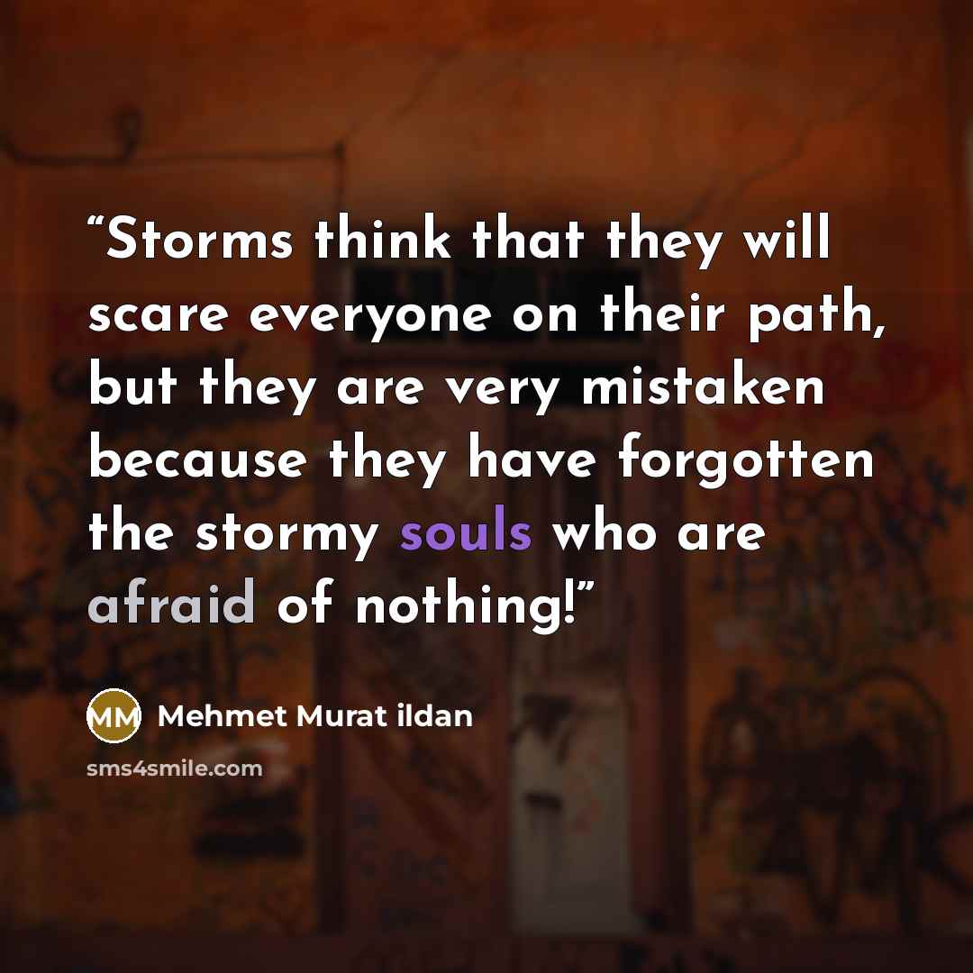 “Storms think that they will scare everyone on their path, but they are very mistaken because they have forgotten the stormy souls who are afraid of nothing!” quote by Mehmet Murat ildan