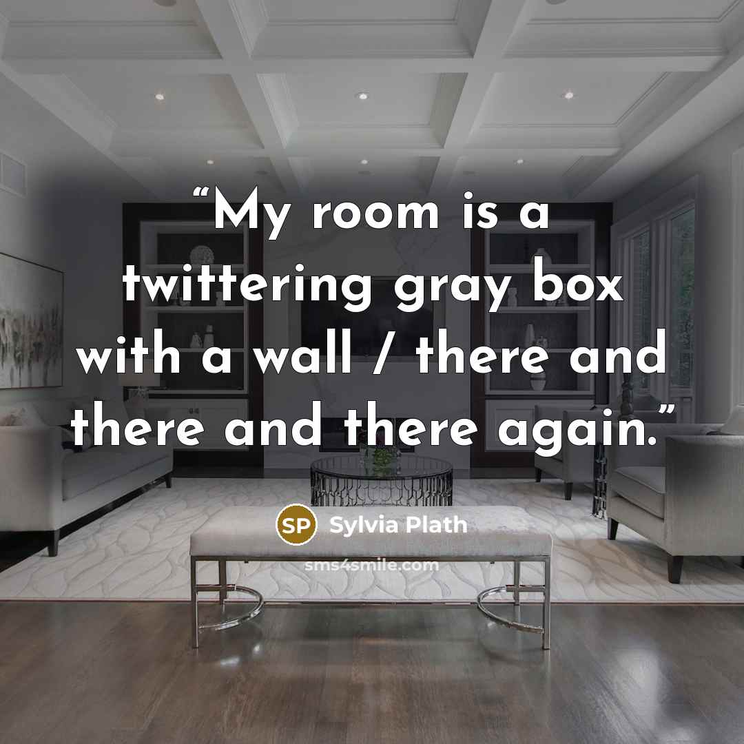 “My room is a twittering gray box with a wall / there and there and there again.” quote by Sylvia Plath