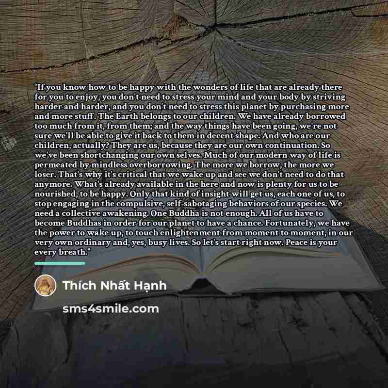 “If you know how to be happy with the wonders of life that are already there for you to enjoy, you don't need to stress your mind and your body by striving harder and harder, and you don't need to stress this planet by purchasing more and more stuff. The Earth belongs to our children. We have…” quote by Thich Nhat Hanh