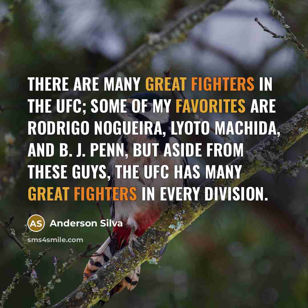 “There are many great fighters in the UFC; some of my favorites are Rodrigo Nogueira, Lyoto Machida, and B. J. Penn, but aside from these guys, the UFC has many great fighters in every division.” quote by Anderson Silva