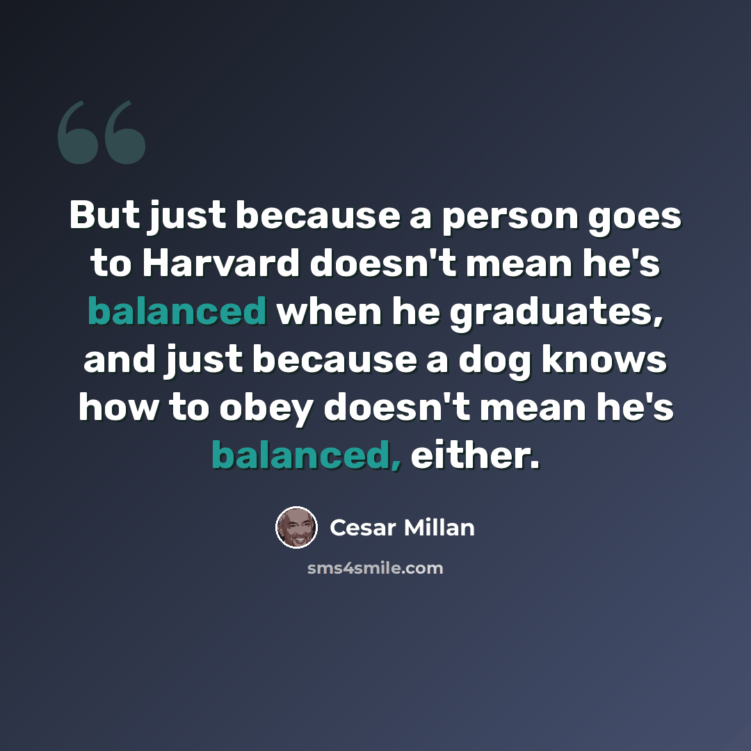 “But just because a person goes to Harvard doesn't mean he's balanced when he graduates, and just because a dog knows how to obey doesn't mean he's balanced, either.” quote by Cesar Millan