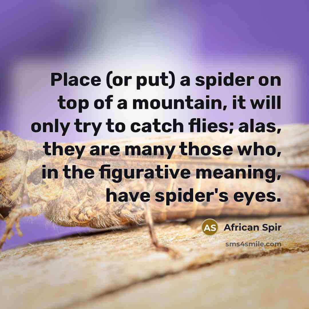 “Place (or put) a spider on top of a mountain, it will only try to catch flies; alas, they are many those who, in the figurative meaning, have spider's eyes.” quote by African Spir
