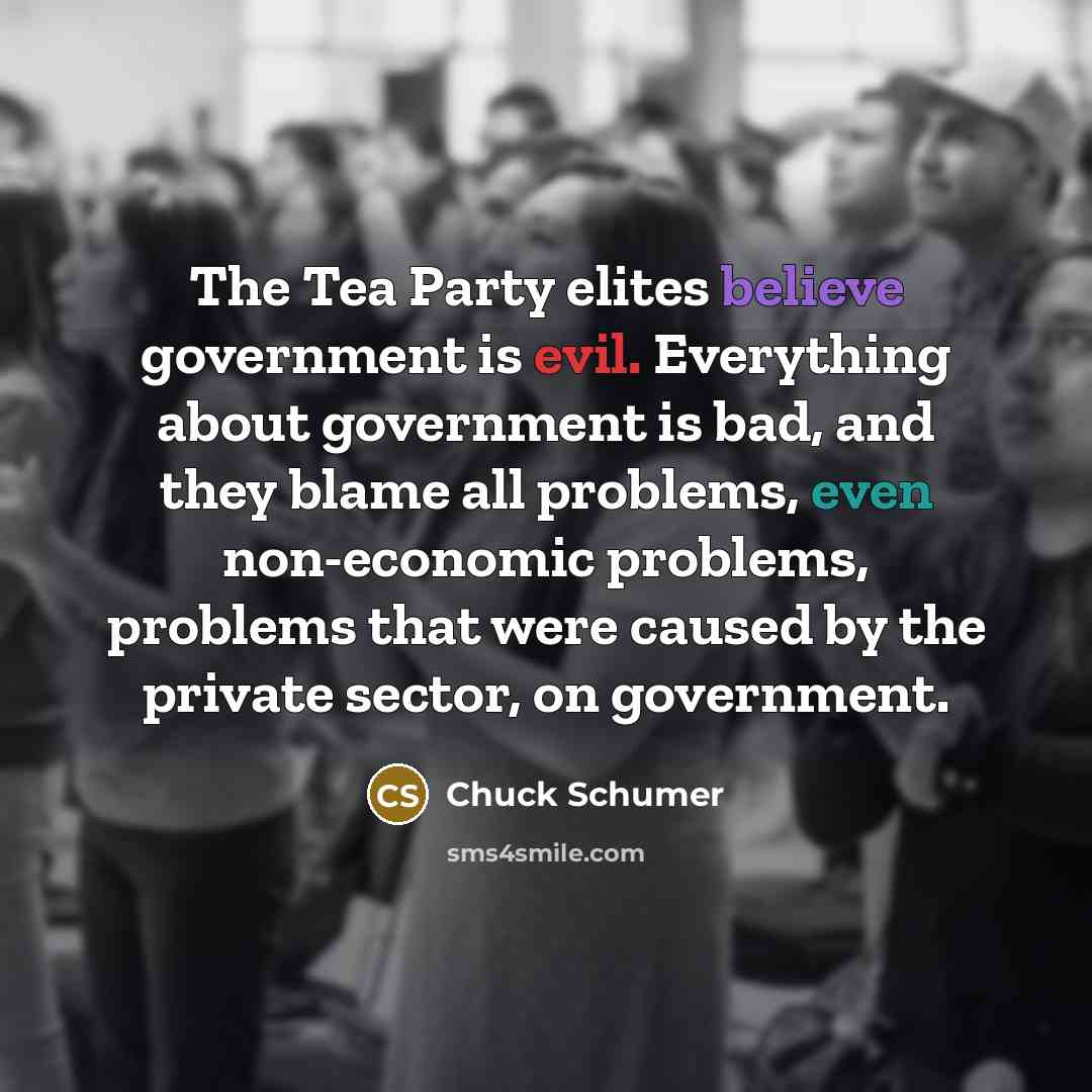 “The Tea Party elites believe government is evil. Everything about government is bad, and they blame all problems, even non-economic problems, problems that were caused by the private sector, on government.” quote by Chuck Schumer