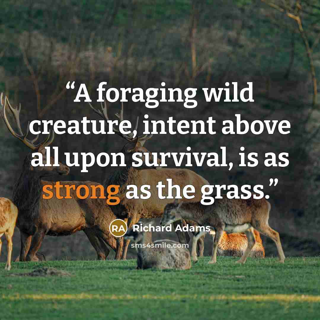 “A foraging wild creature, intent above all upon survival, is as strong as the grass.” quote by Richard Adams